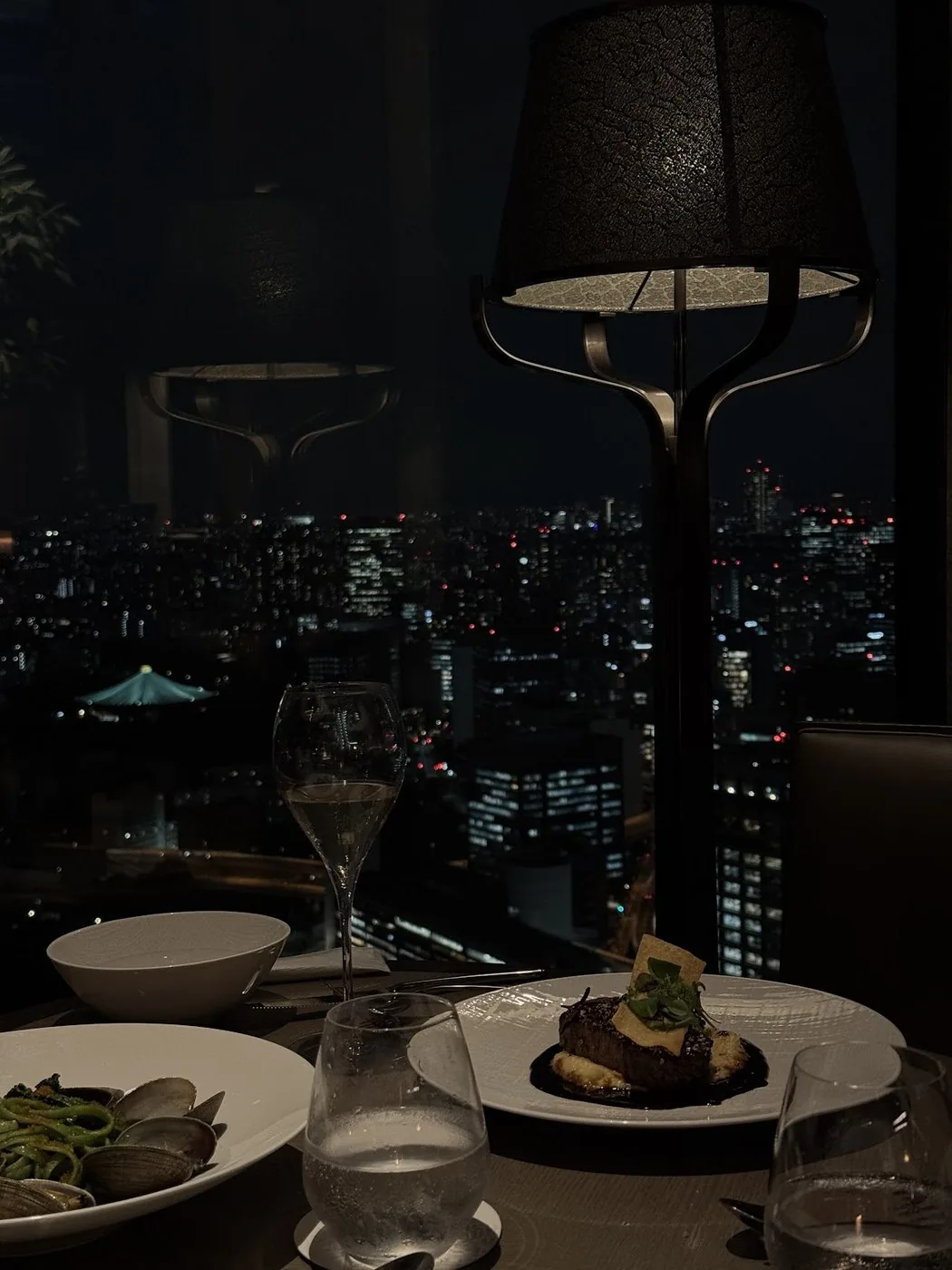 Tokyo at night from Four Seasons