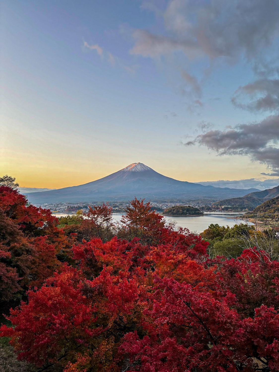 Mount Fuji seen across autumn maples from the Fuji Five Lakes