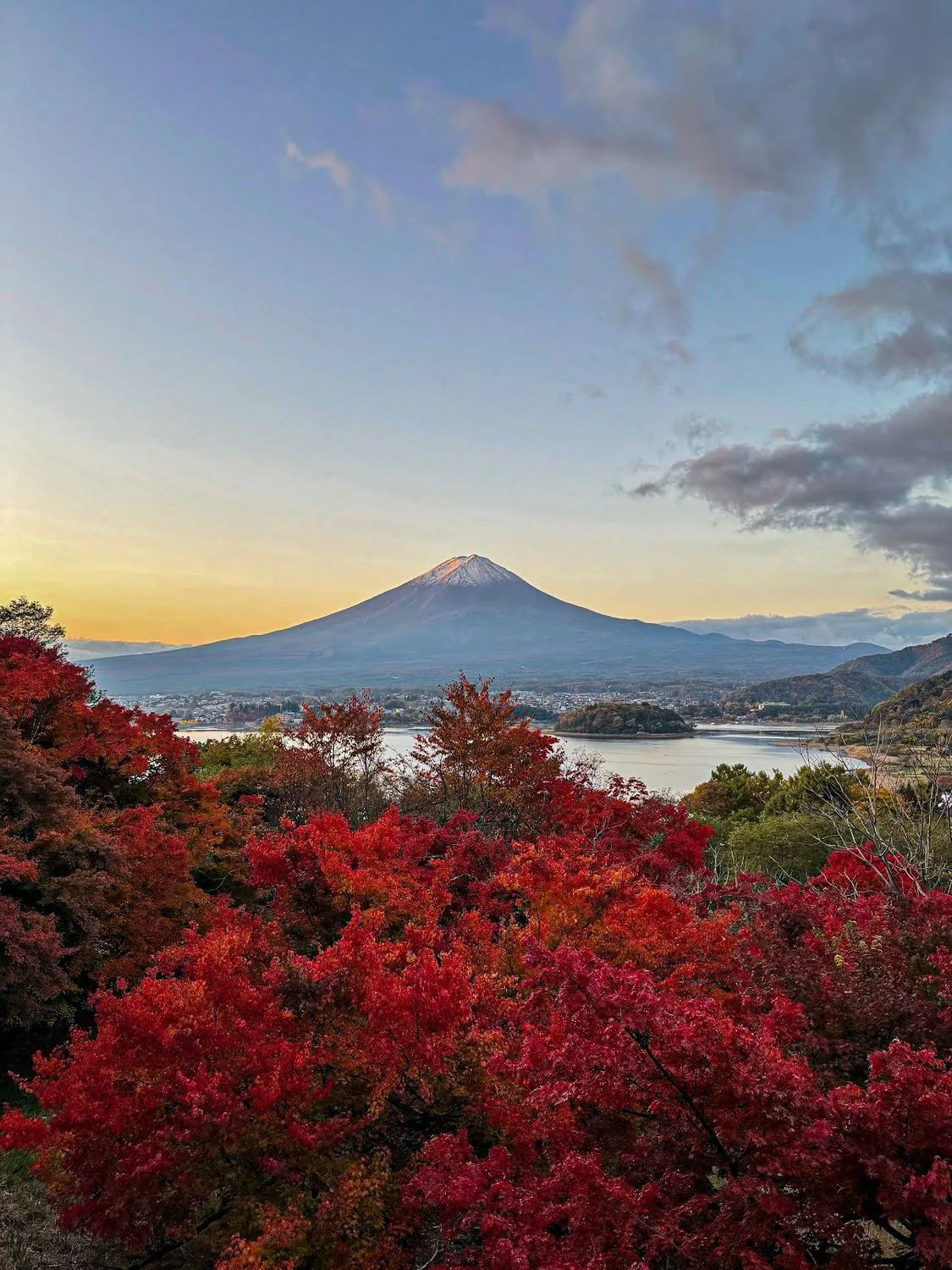 Mount Fuji seen across autumn maples