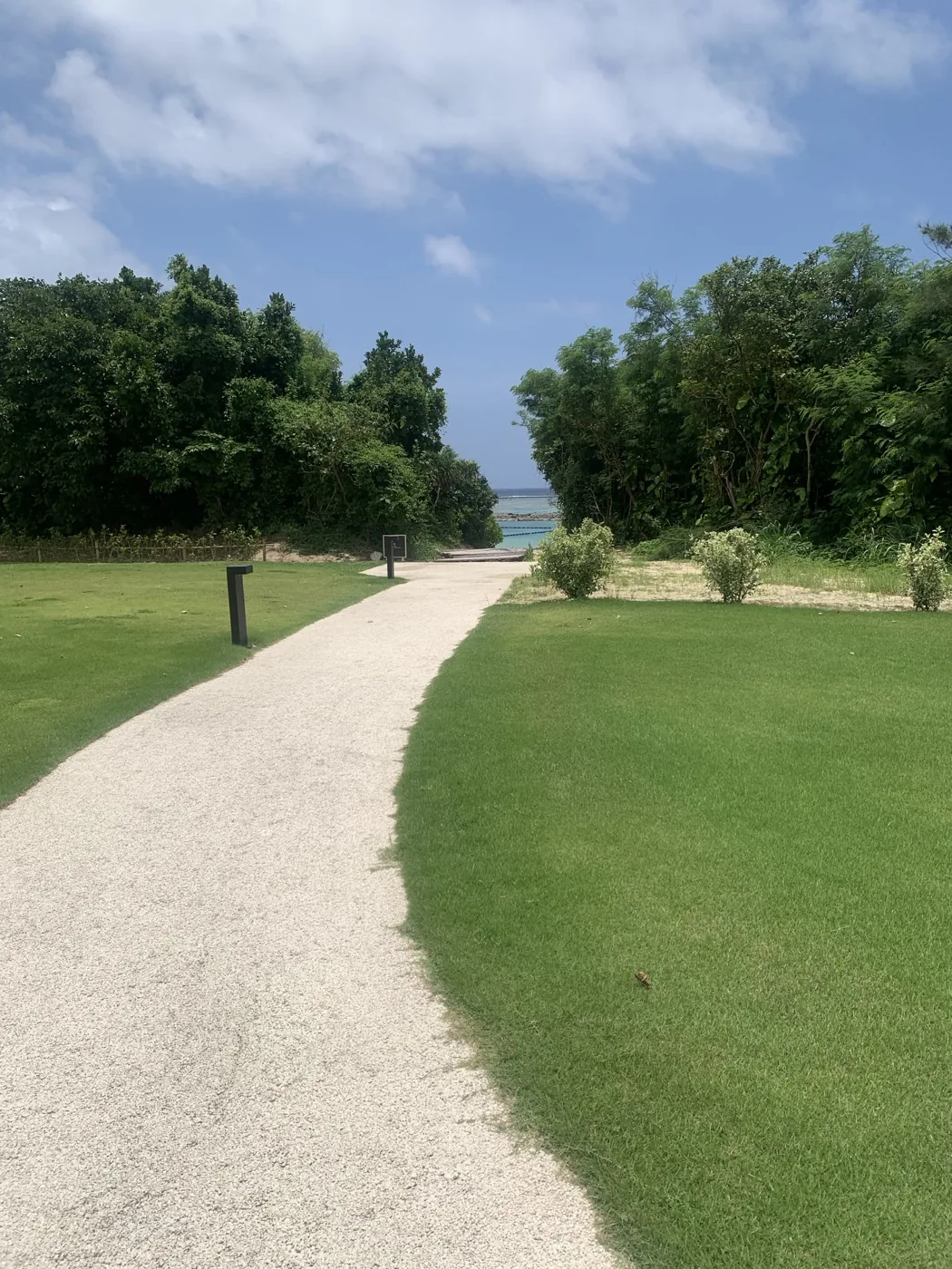 A green path in Ishigaki