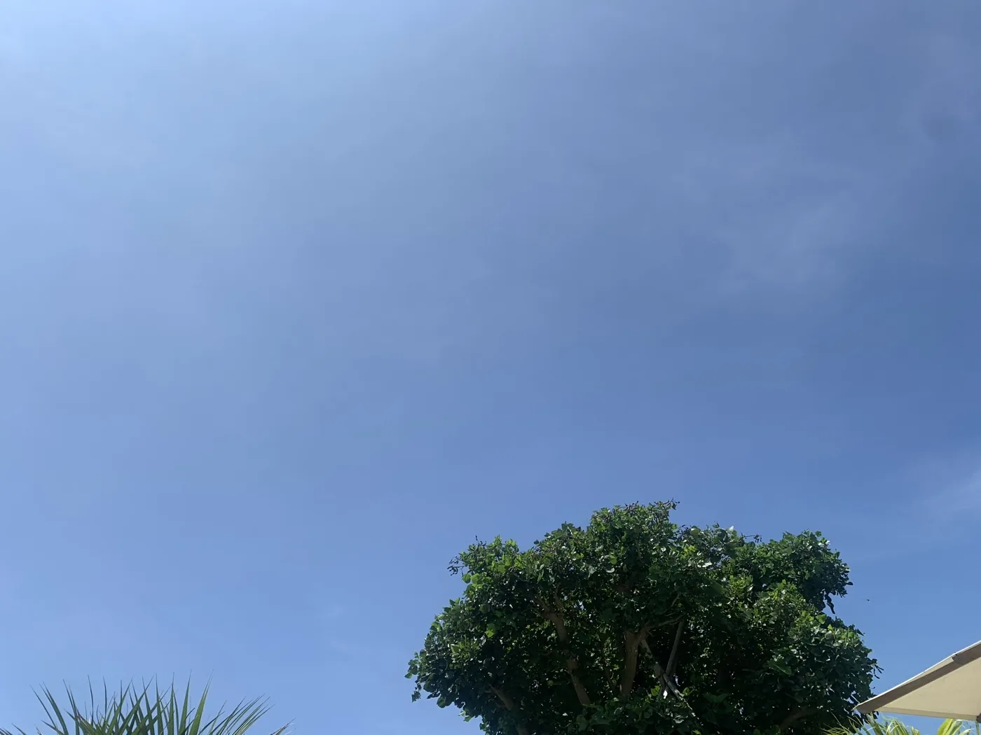 The sea and sky from Ishigaki